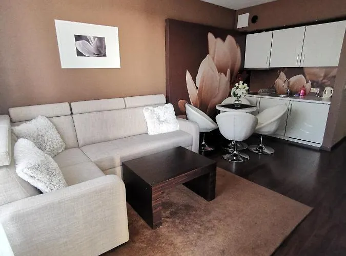 Prywatny Salon Z Aneksem Kuchennym I Sypialnia W Diva