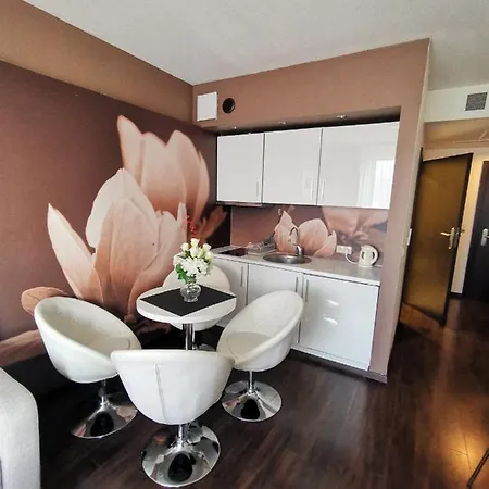 דירה Prywatny Salon Z Aneksem Kuchennym I Sypialnia W Diva *