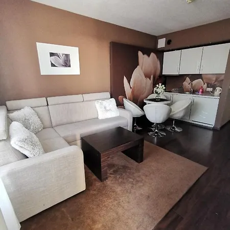 Prywatny Salon Z Aneksem Kuchennym I Sypialnia W Diva